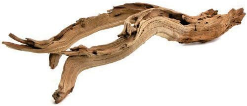Koyal Wholesale 18\u201d Driftwood Terrarium Decor, Clean California Manzanita Drift Wood Reptile... | Amazon (US)