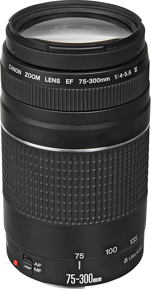 Canon EF 75-300mm f/4-5.6 III Telephoto Zoom Lens for Canon SLR Cameras, 6473A003 (Renewed) | Amazon (US)