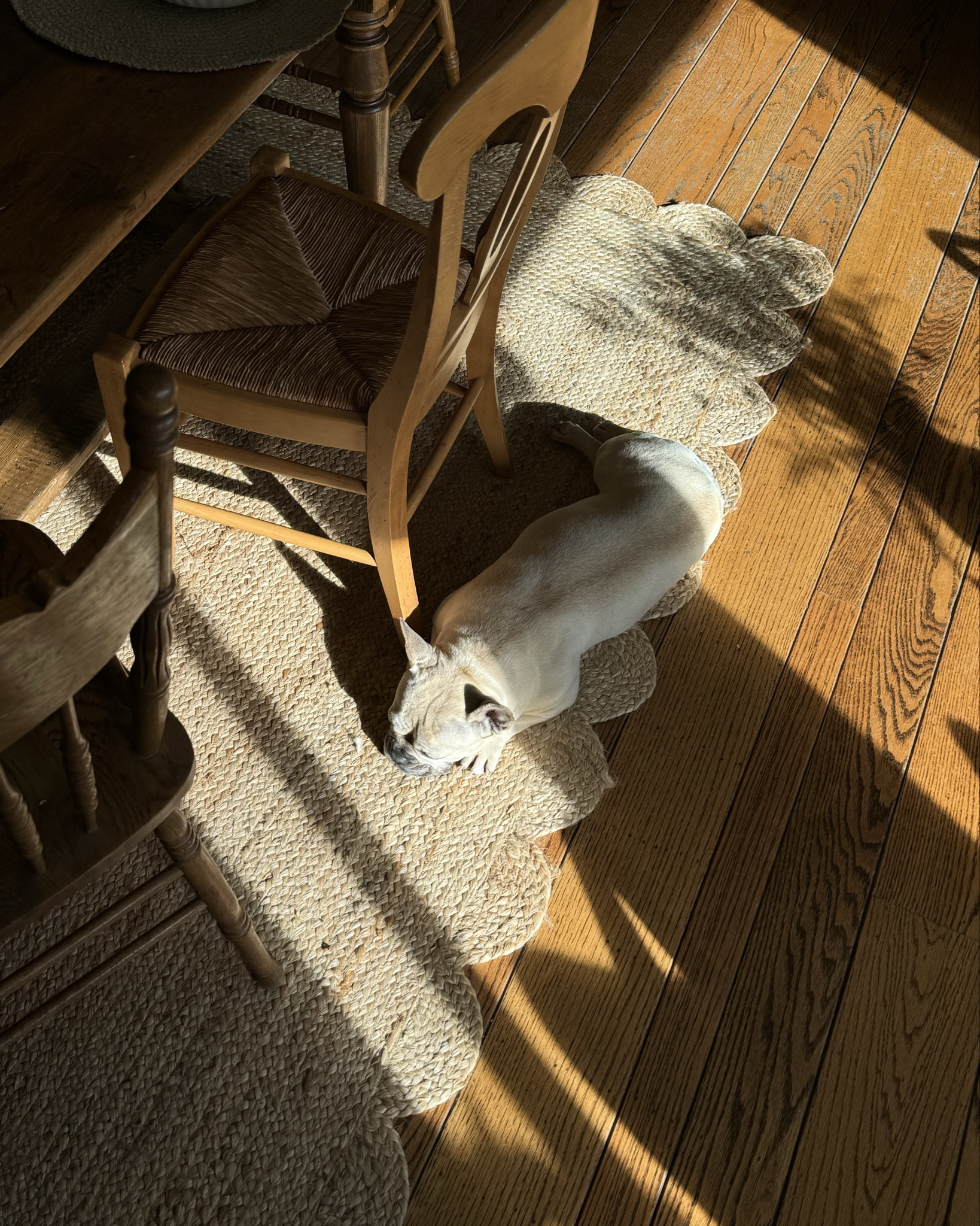 I wasn’t sure if a rug was the right move for the dining room space, but this neutral braided jute rug by Revival warms the space and adds just the right finishing touches I was looking for. 

#LTKHoliday #LTKHome