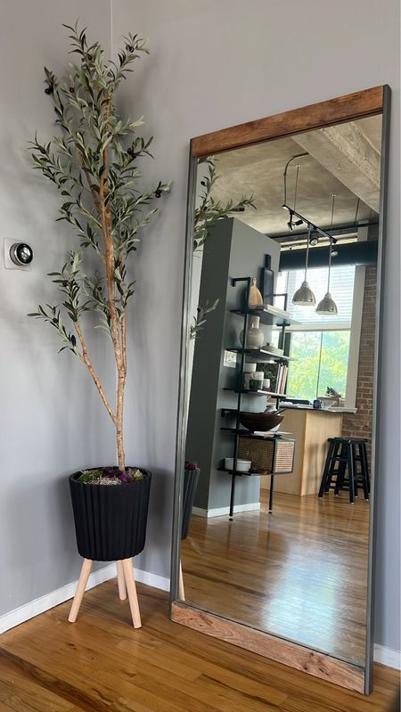 Full length mirror and olive tree. Planter pot is from tj maxx! 

#LTKhome