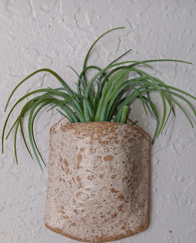 Ceramic Wall Pocket Stoneware Wall Planter Air Fern Holder - Etsy | Etsy (US)