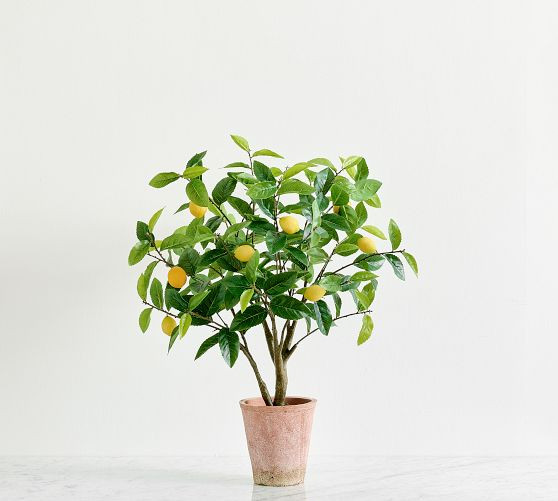 Faux Potted Lemon Topiary | Pottery Barn (US)