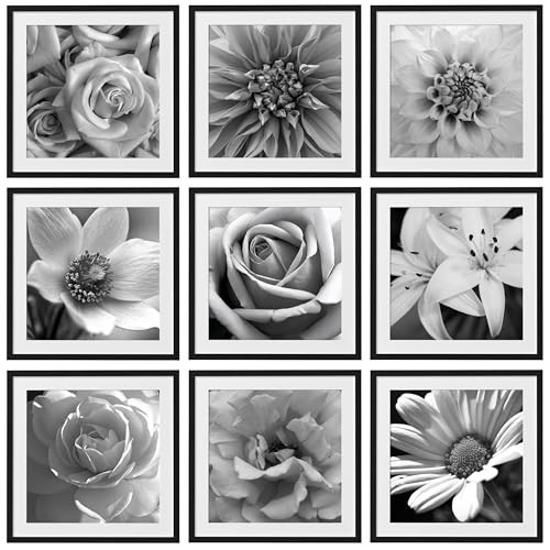 eletecpro 24x24 Picture Frames Set of 9, Classic Gallery Wall Frame Set for 20x20 Photos with Mat or 24x24 without Mat, Storyline Picture Frame for Art Prints, Black Poster Frames for Home Decor Wall | Amazon (US)