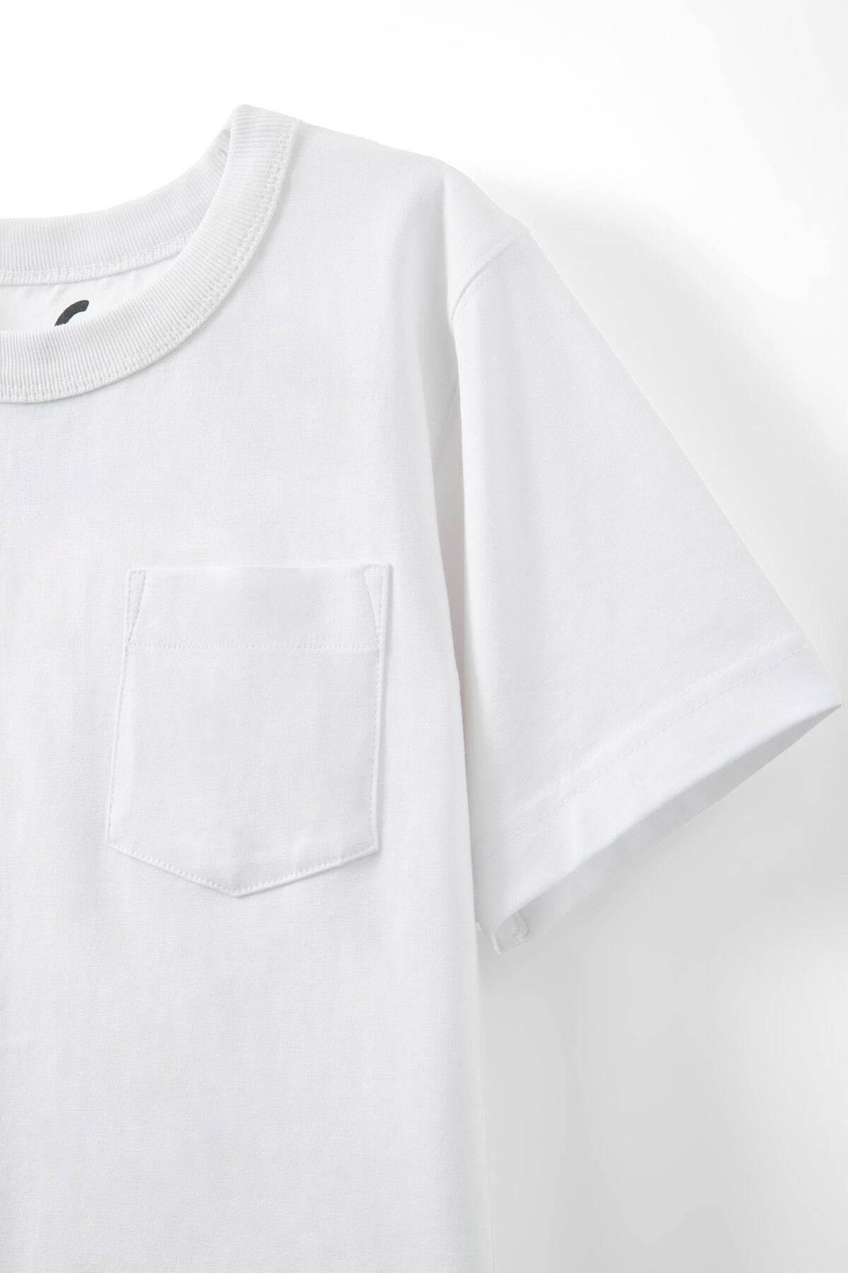 Essentials Short Sleeve Tee | Cotton On (US)