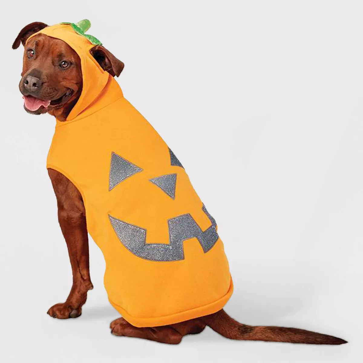 Jack-O'-Lantern Pumpkin Reflective Halloween Hoodie Dog and Cat Costume - Boots & Barkley™ | Target
