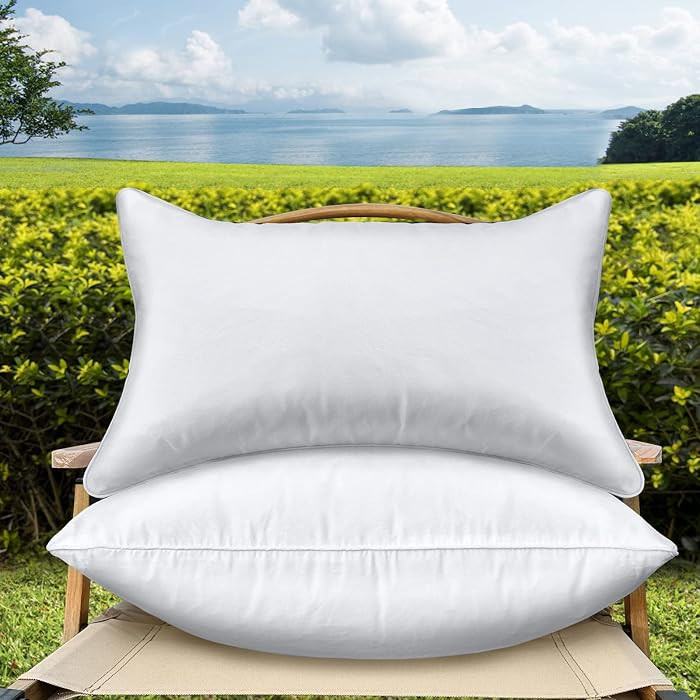 12 x 20 Outdoor Throw Pillow Inserts Set of 2 Waterproof Rectangle Lumbar Premium Decorative Couc... | Amazon (US)