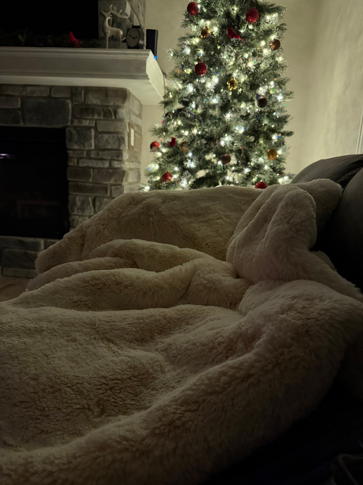 Weighted blanket

#LTKHoliday