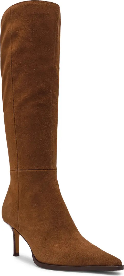 Lingo Pointed Toe Knee High Boot (Women) | Nordstrom