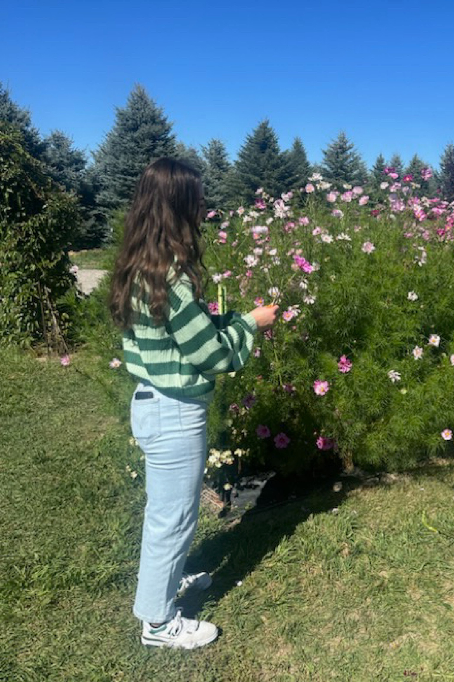 Perfect transition outfit from summer to fall! 





Outfit ideas, Sweater Weather, New Balance 550, Levi’s Jeans, Flower Garden, LTKSale

#LTKstyletip #LTKfindsunder100 #LTKshoecrush