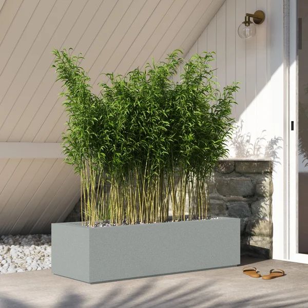 Gaskell Short Polymer Planter Box | Wayfair North America