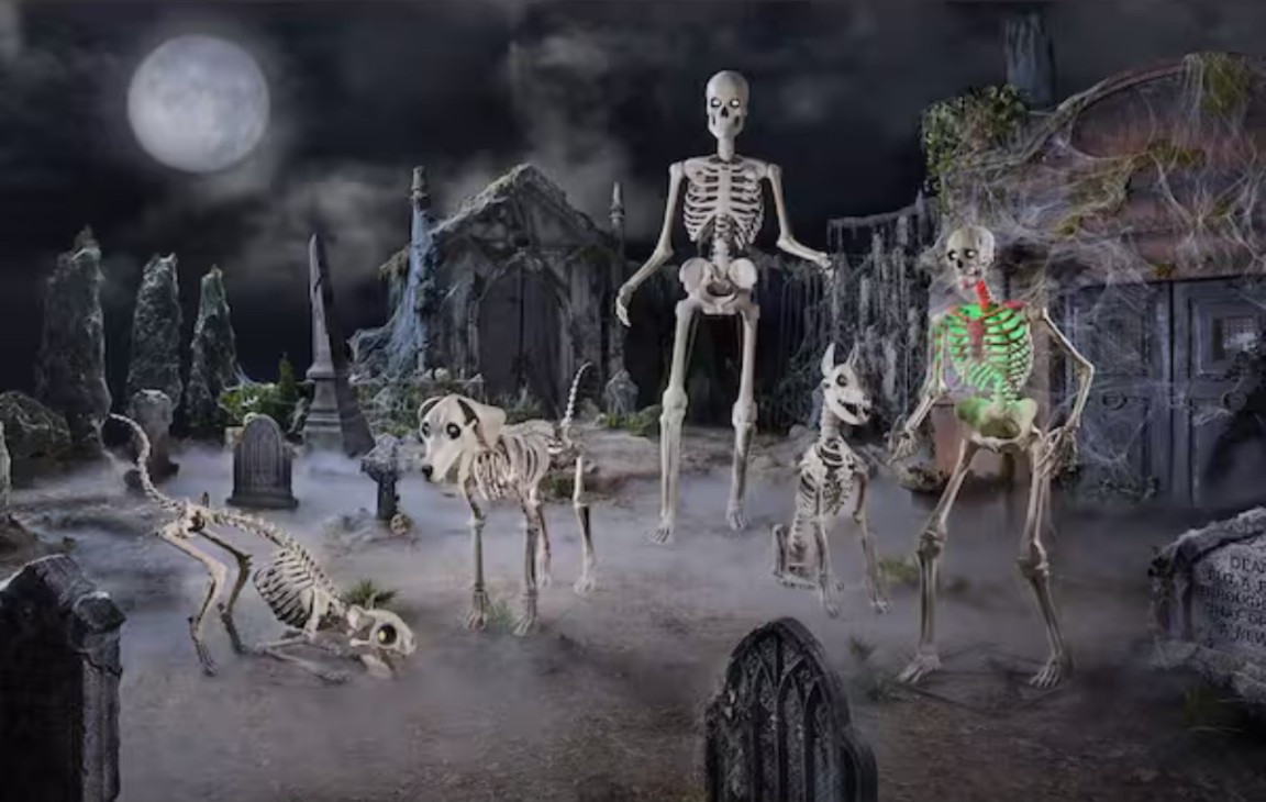Build the ultimate boneyard with the Classic 12 ft. Giant Skelly, 6.5 ft. Ultra Skelly, 5 ft. Skelly’s Dog & Cat, plus the Original 7 ft. Skelly’s Dog Combo 💀🐾 This iconic crew of oversized skeletons and spooky pets is perfect for creating a jaw-dropping Halloween yard display. Whether towering over trick-or-treaters or guarding your haunted house entrance, this set is a must-have for collectors and Halloween lovers who want to go big with their décor. 🎃👻🕸️

#LTKParties #LTKSeasonal #LTKHome