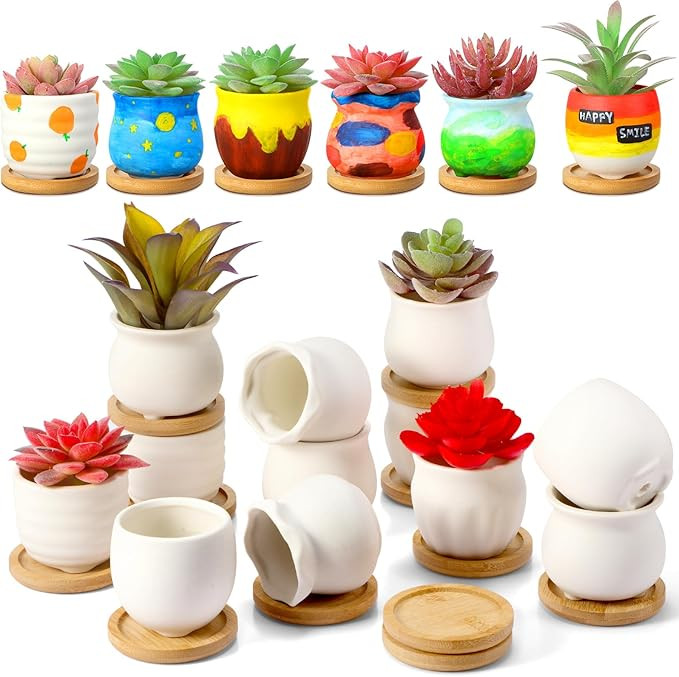 Remerry 12 Pcs 2.5 Inch Mini Succulent Pots with Bamboo Tray White Ceramic Pots Color Your Own DI... | Amazon (US)