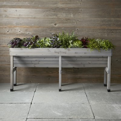 Vegtrug Wallhugger, Medium, Grey | Williams Sonoma | Williams-Sonoma