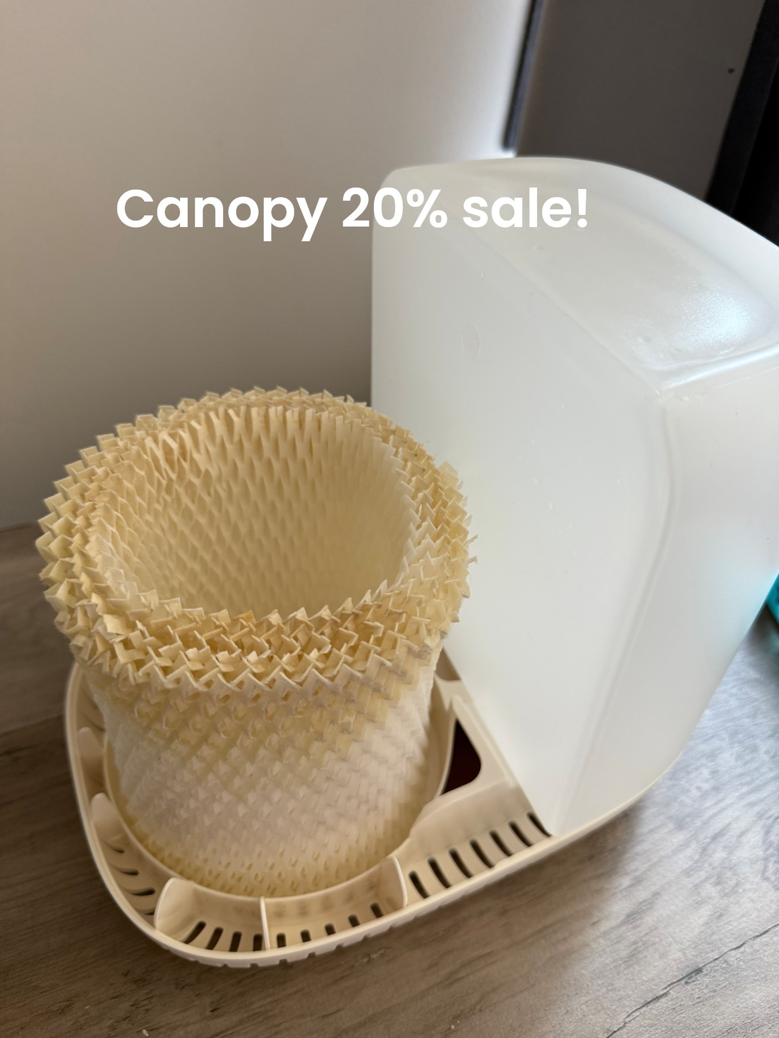 Canopy is 20% off right now! This mist-free, mold-inhibiting humidifier is a game changer for skin hydration, better breathing, and a healthier home. It filters both the water and the air using paper-based antimicrobial technology—no wet mess, no musty smell. Clean, effective, and beautiful on your nightstand. Perfect for low-tox living and skin lovers! Don’t miss this limited-time deal! #CanopyHumidifier #LowToxHome #MistFreeHumidifier #SkincareTools #HealthyHome 

#LTKSaleAlert #LTKHome #LTKBaby