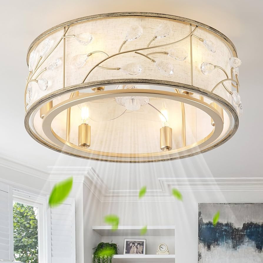 20" Caged Crystal Ceiling Fan with Light, Gold Flush Mount Ceiling Fans with Lights Remote Contro... | Amazon (US)