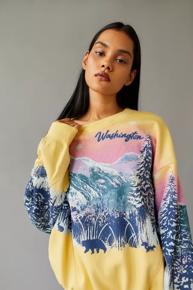 UO Wilder Washington Sweatshirt | Urban Outfitters (US and RoW)