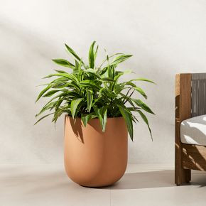 Radius Ficonstone Indoor/Outdoor Planters | West Elm (US)