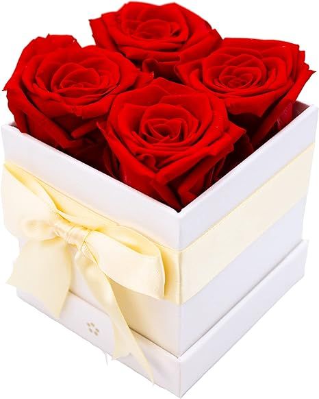 AROMEO Red Roses Gift That Lasts | Fresh Flowers for Delivery Prime | Mothers Day Gifts, Roses fo... | Amazon (US)