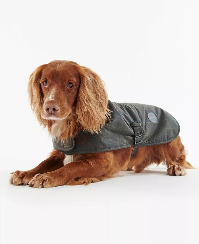 Tartan Wax Dog Coat | Macy's