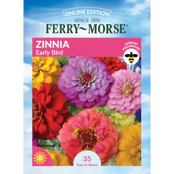 Ferry-Morse Zinnia Seeds 1 Gram(s) | Lowe's