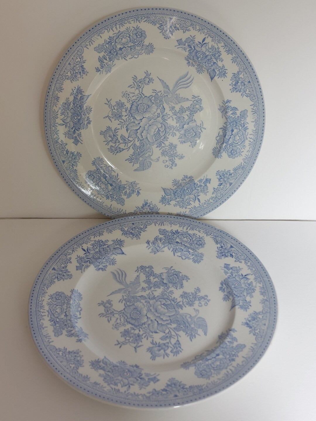 Burleigh Asiatic Pheasant B & L England Large 10 Dinner - Etsy | Etsy (US)