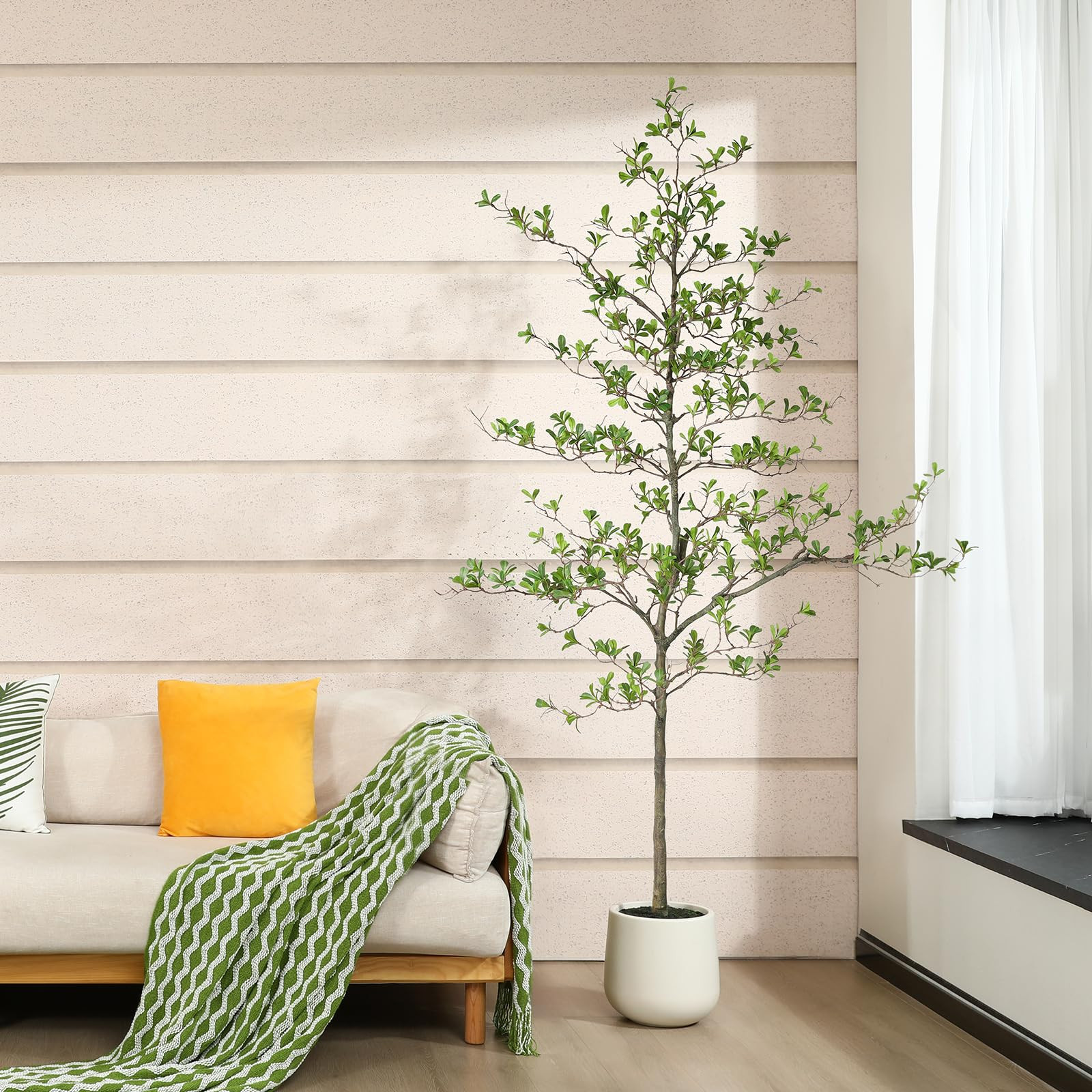 SOGUYI | Amazon (US)