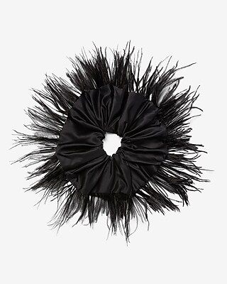 Feathered Ponytail Holder | Express