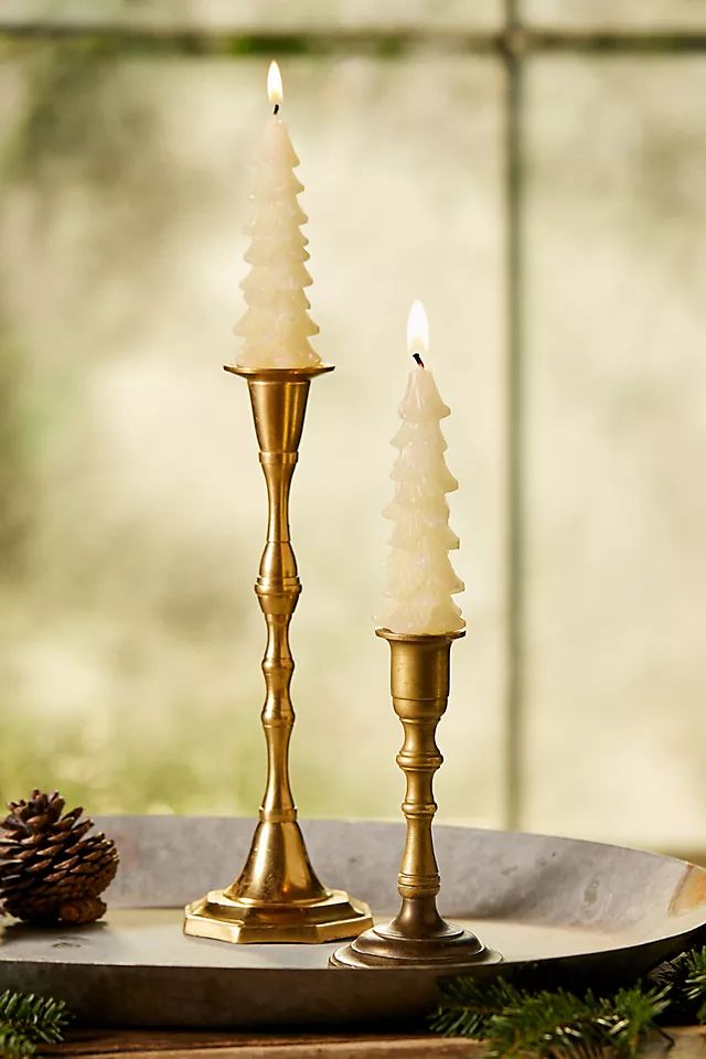 Tree Unscented Tapers, Set of 2 | Anthropologie (US)