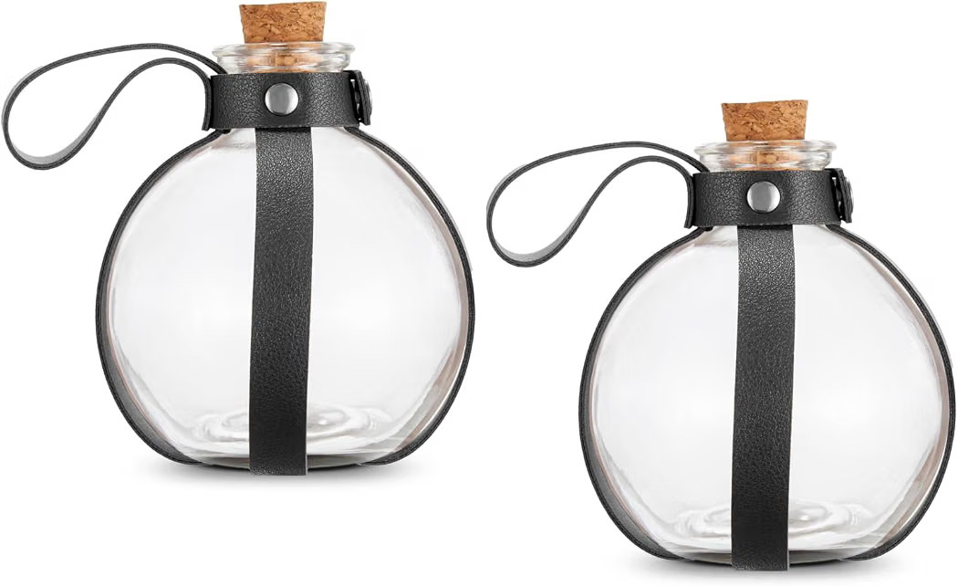 Cosmic Chameleon Glass Potion Bottles with Cork, Bottles prop, Dark Magic Potion bottles with Fau... | Amazon (US)