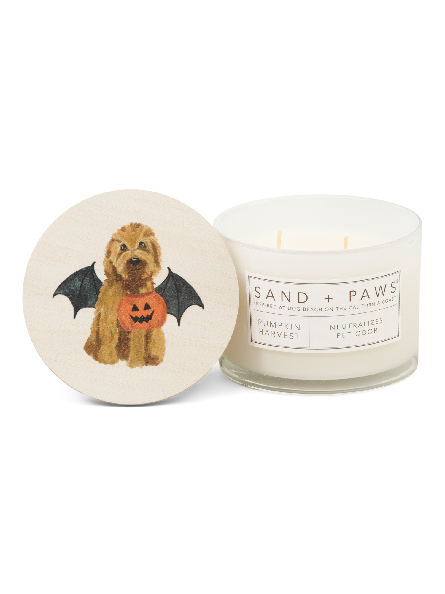12oz Pumpkin Harvest Scented Candle | Decor | Marshalls | Marshalls