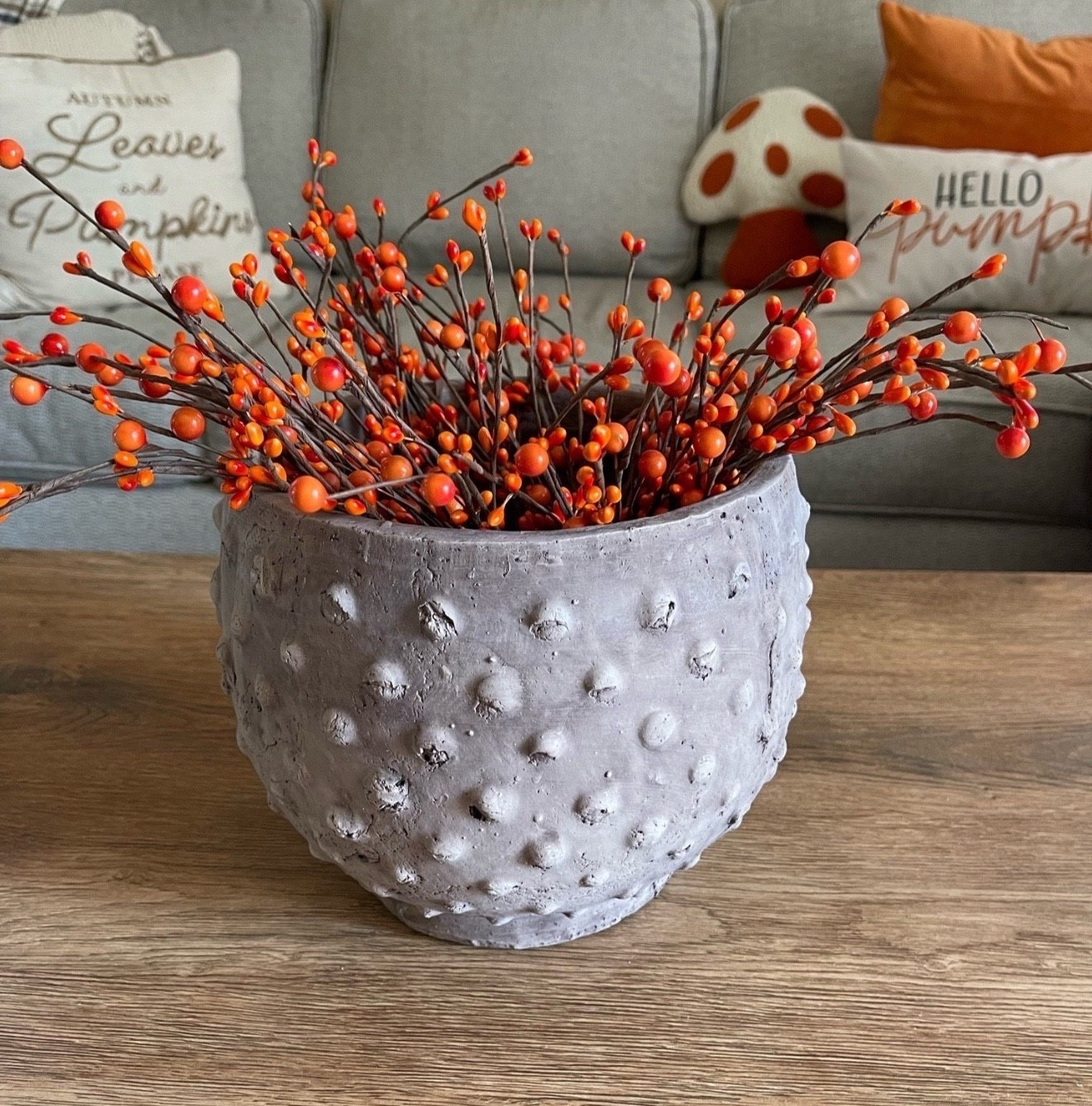 I absolutely love this planter from Amazon. It’s a great size and serves as a fantastic decorative piece. I enjoy changing the stems in it based on the season. 




Amazon fall home decor, Amazon planter, fall berries stems, planters, fall decorations, autumn 

#LTKFindsUnder50 #LTKSaleAlert #LTKSeasonal #LTKHome

#LTKStyleTip