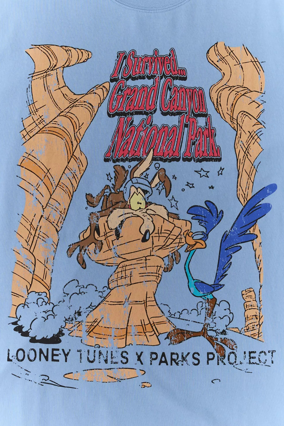 Parks Project X Looney Tunes Grand Canyon Graphic Tee | Urban Outfitters (US and RoW)