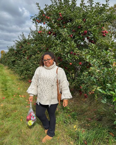 Fall is definitely my outfit season: a sweater, leggings, and Uggs are my casual go-to. It was perfect for this chilly day of apple picking and stopping by the pumpkin patch. 



#LTKmidsize #LTKshoecrush #LTKstyletip