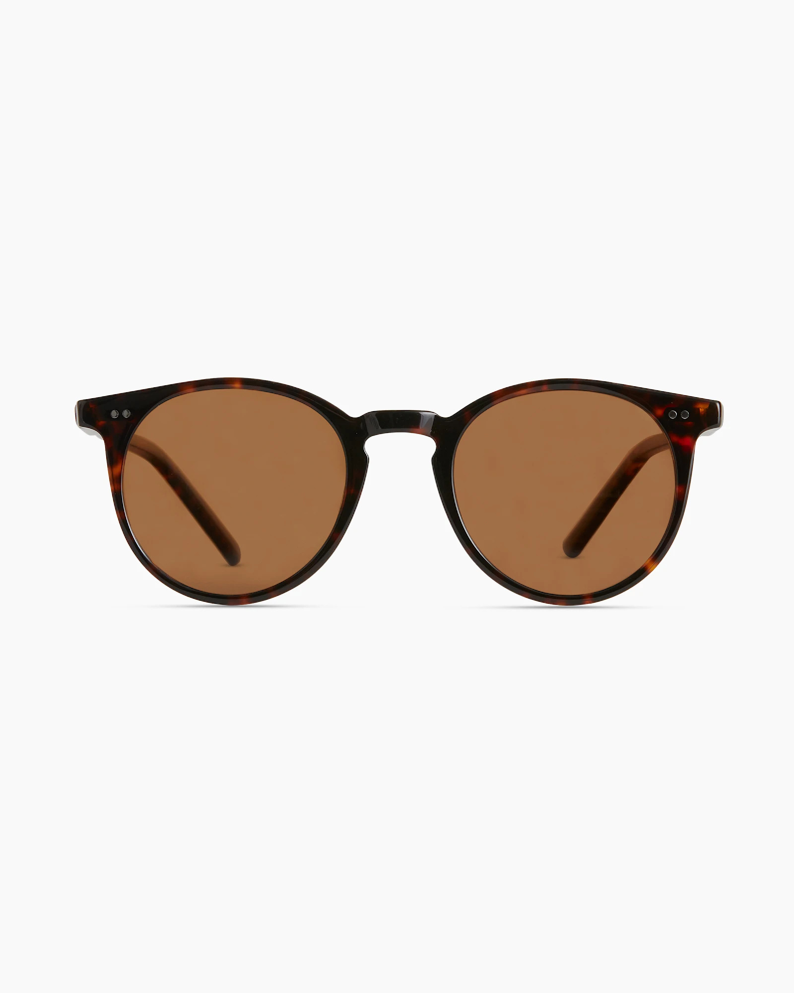 Noah Polarized Acetate Sunglasses | Quince
