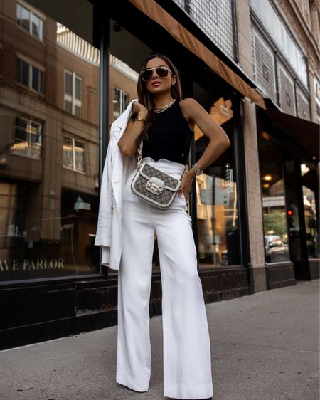 Summer outfit for work
White blazer
White wide leg pants
Black bodysuit
Gucci horsebjt mini bag 



#LTKworkwear #LTKSeasonal #LTKfindsunder100