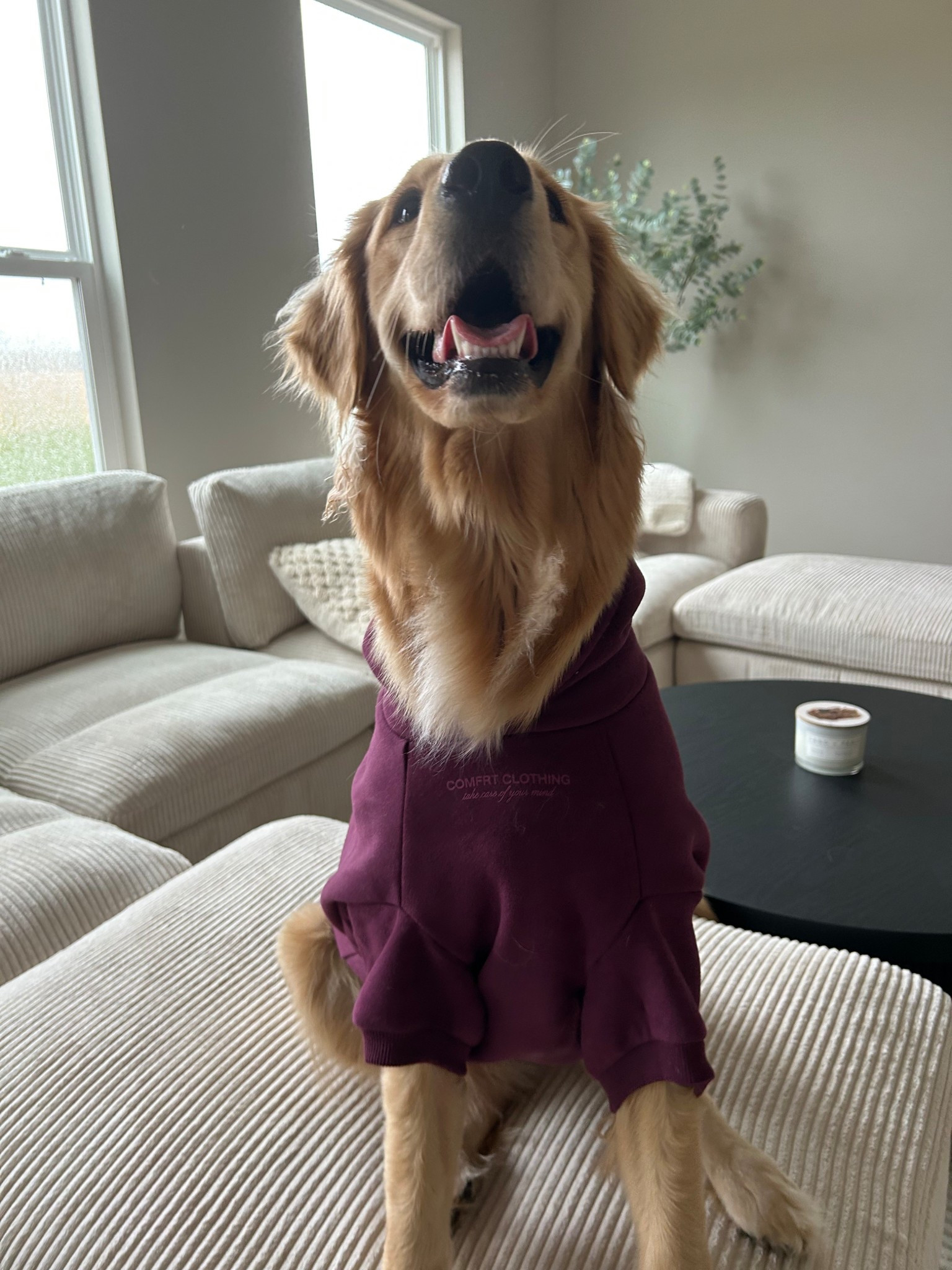 New Comfrt colors!!!