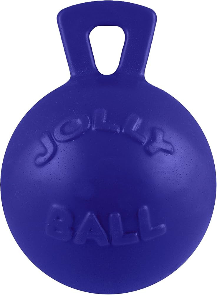 Jolly Pets Tug-n-Toss Heavy Duty Dog Toy Ball with Handle, 8 Inches/Large, Blue | Amazon (US)