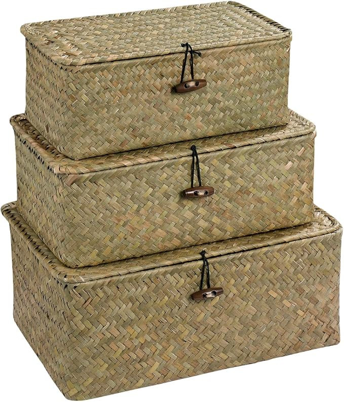 Vosarea Rattan Storage Basket Makeup Organizer Multipurpose Container with Lid (S/M/L) | Amazon (US)