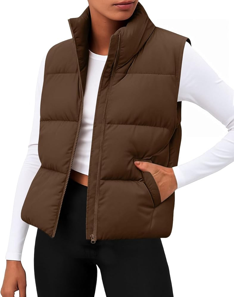 Zeagoo Women Puffer Vest Sleeveless Cropped Outerwear Warm Winter Lightweight Coat Stand Up Colla... | Amazon (US)
