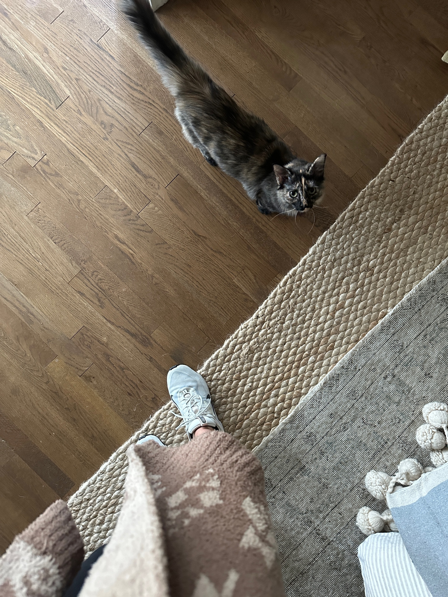 Our bedroom jute rug is on sale at RugsUSA! 

We have in our bedroom and living room in the Natural color. 

Home decor 
Home styling 
Sale alert 
Interior design 
Home inspo 


#LTKsalealert #LTKhome #LTKfindsunder50