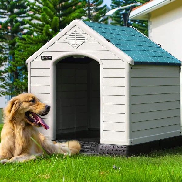 Auriel Plastic Dog House | Wayfair North America