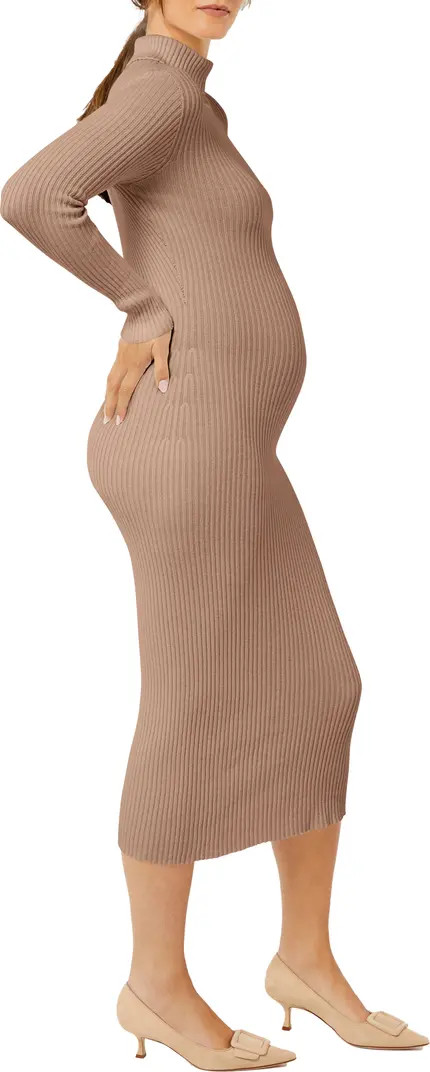 Pietro Brunelli Long Sleeve Rib Maternity Sweater Dress | Nordstrom