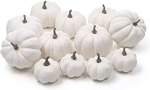 Ogrmar 12 Pack Artificial Assorted Pumpkins, Mini Fake Pumpkins Artificial Vegetables for Hallowe... | Amazon (US)