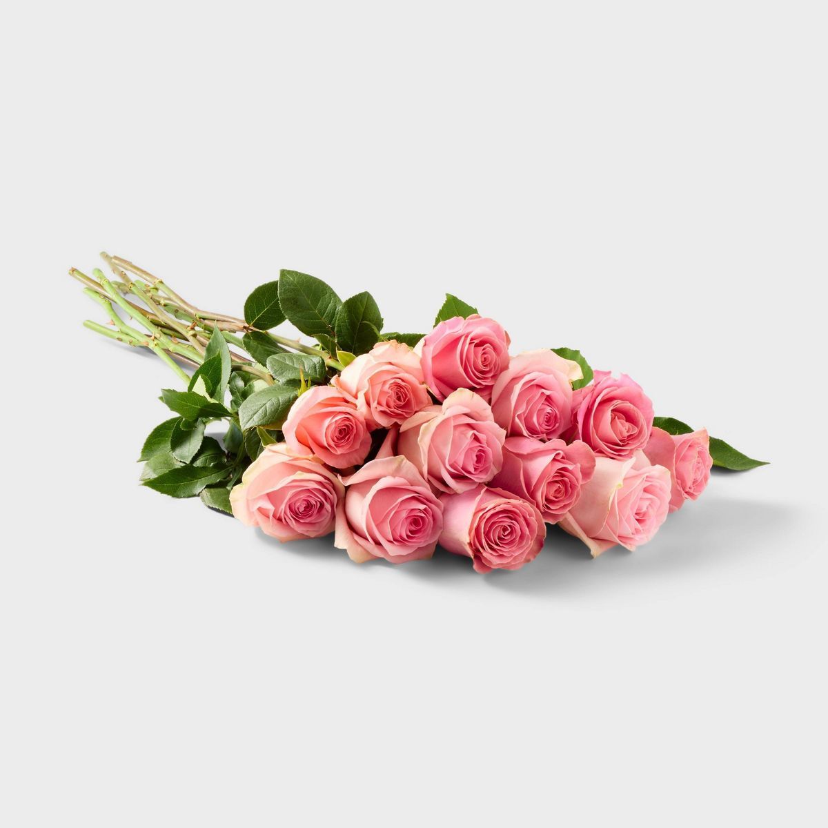 Fresh Cut Dozen Pink Roses - Spritz™ | Target