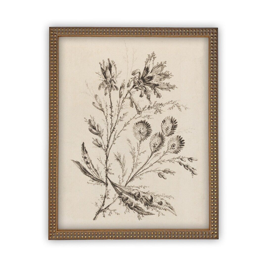 Vintage Framed Canvas Art  // Framed Vintage Print // Vintage Painting // Botanical Floral Sketch... | Etsy (US)
