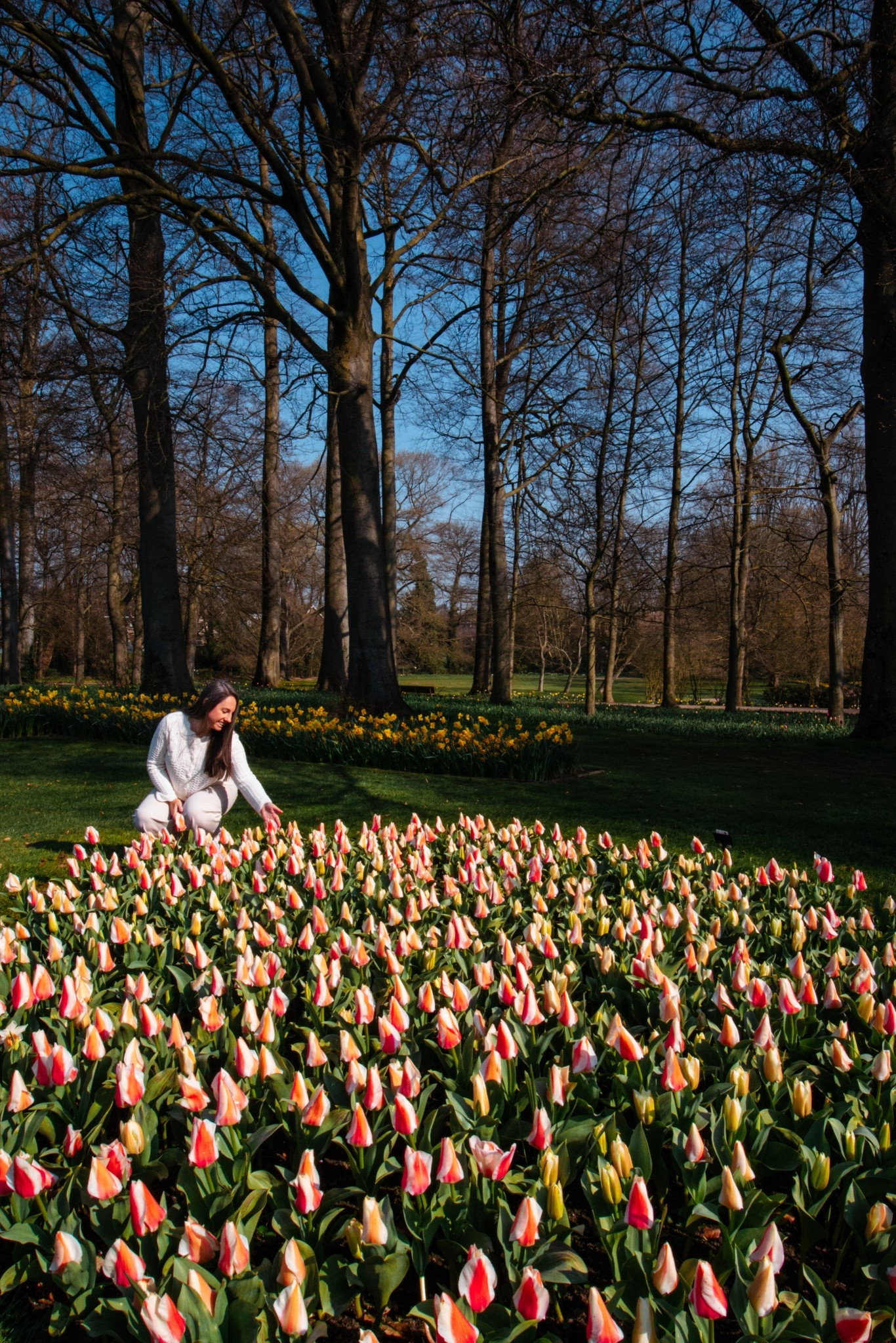 Spring outfit. Tulip season!

What to wear in Amsterdam, what to wear in the Netherlandss

#LTKTravel