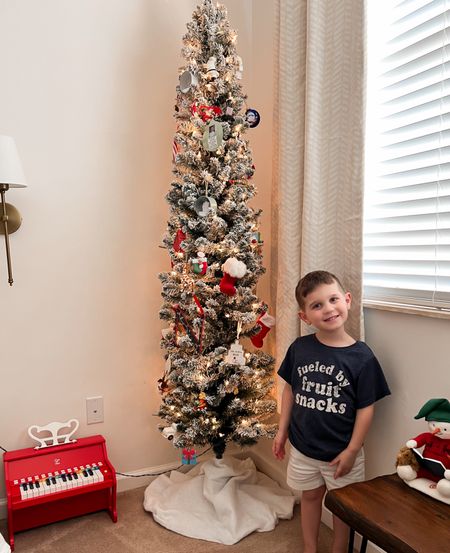 I love this flocked pencil tree for my sons room! It’s under $100 and comes pre-lit! 

#LTKhome #LTKfamily #LTKHoliday