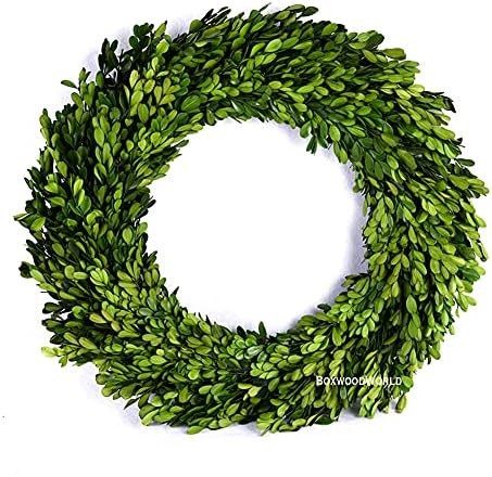 Boxwood Wreath X-Larger 22 inch Preserved Nature Boxwood Wreath Home Decor Stay Fresh for Years f... | Amazon (US)