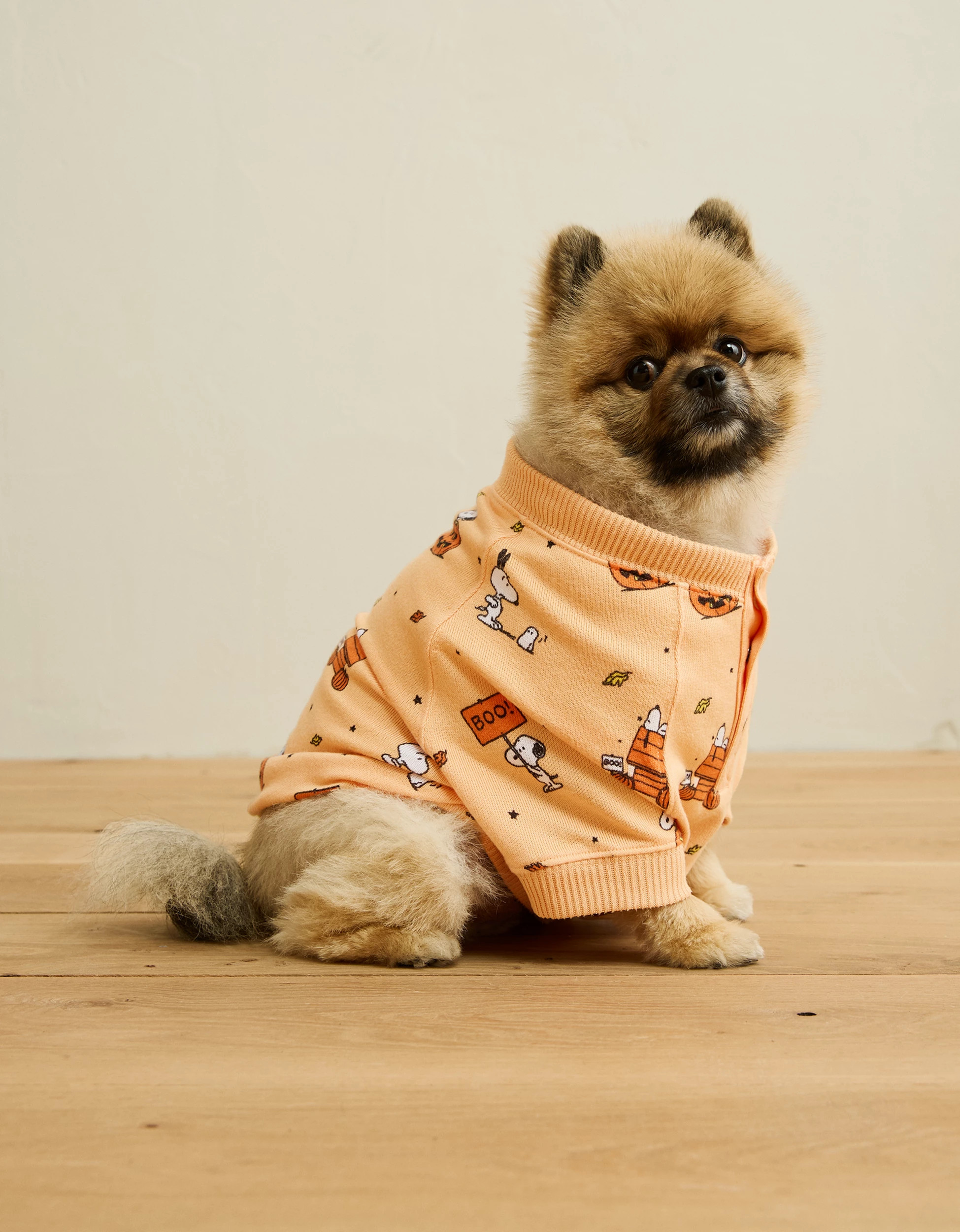 ABO Snoopy Plush PJ Top | American Eagle Outfitters (US & CA)