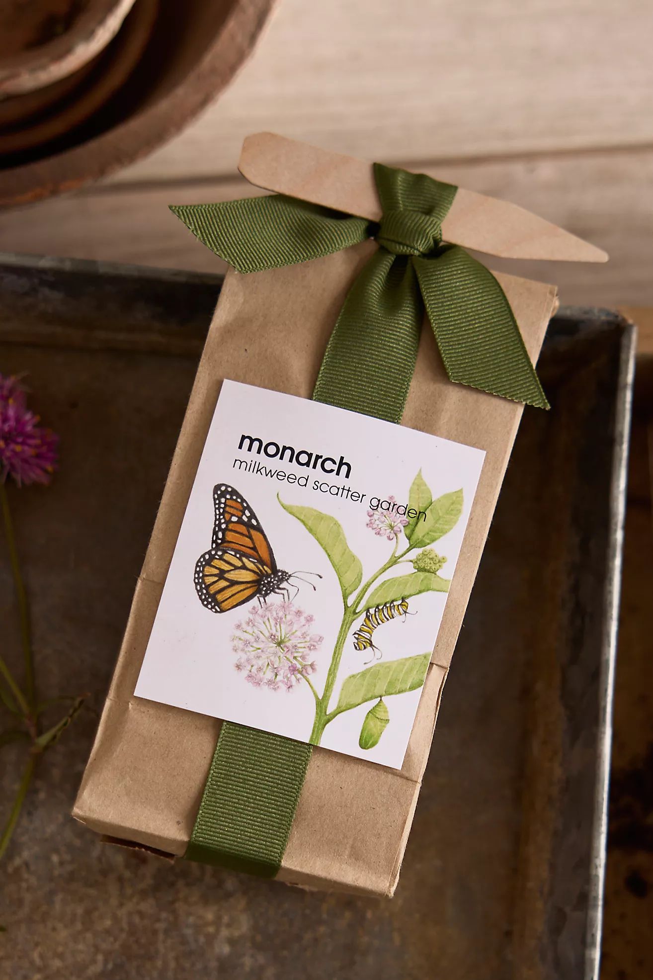 Monarch Milkweed Garden Seed Scatter | Terrain